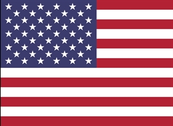 [ai] The flag of the United States, featuring thirteen horizontal red and white stripes and a blue rectangle with fifty white stars in nine rows.