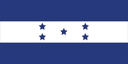 [ai] A flag with a blue background featuring a horizontal white stripe in the center, adorned with five blue stars evenly spaced on the stripe.